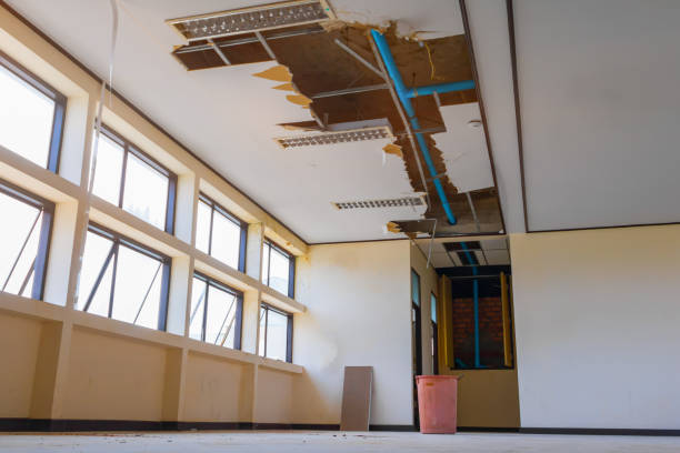 Best Residential water damage restoration  in Whiteman Af, MO