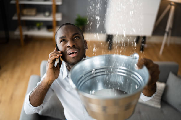 Best Water damage cleanup near me  in Whiteman Af, MO