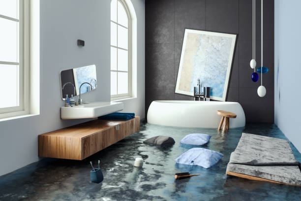 Best Water damage contractors near me  in Whiteman Af, MO