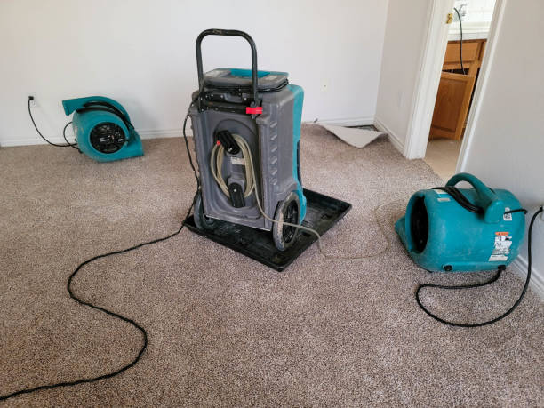 Best Sewage cleanup and water damage restoration  in Whiteman Af, MO