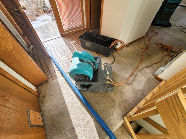 Best Water damage restoration specialists  in Whiteman Af, MO