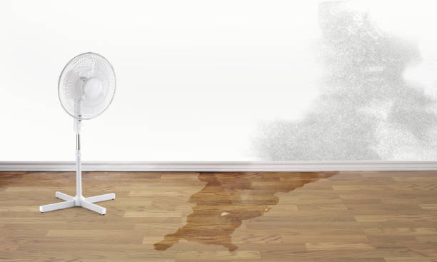 Best Local water damage restoration  in Whiteman Af, MO