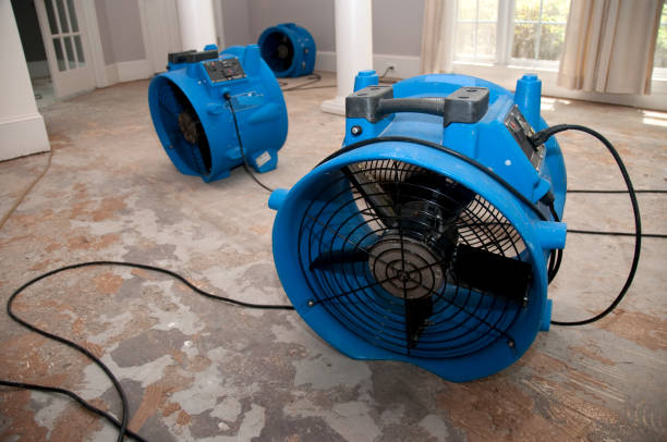  Whiteman Af, MO Water damage restoration Pros
