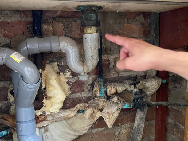 Best Water damage restoration process  in Whiteman Af, MO
