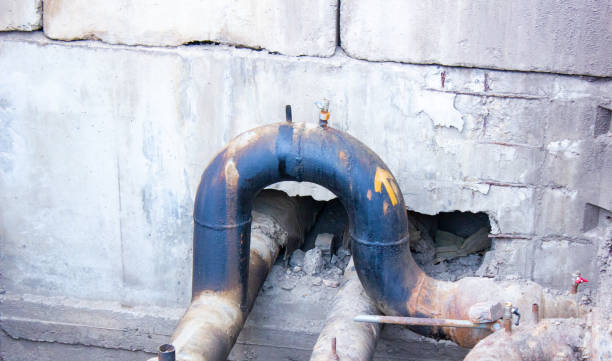 Best Water damage restoration insurance claims  in Whiteman Af, MO