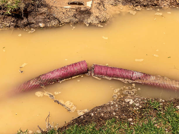 Best Flood restoration services  in Whiteman Af, MO