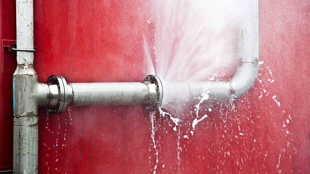 Best Basement water damage restoration  in Whiteman Af, MO